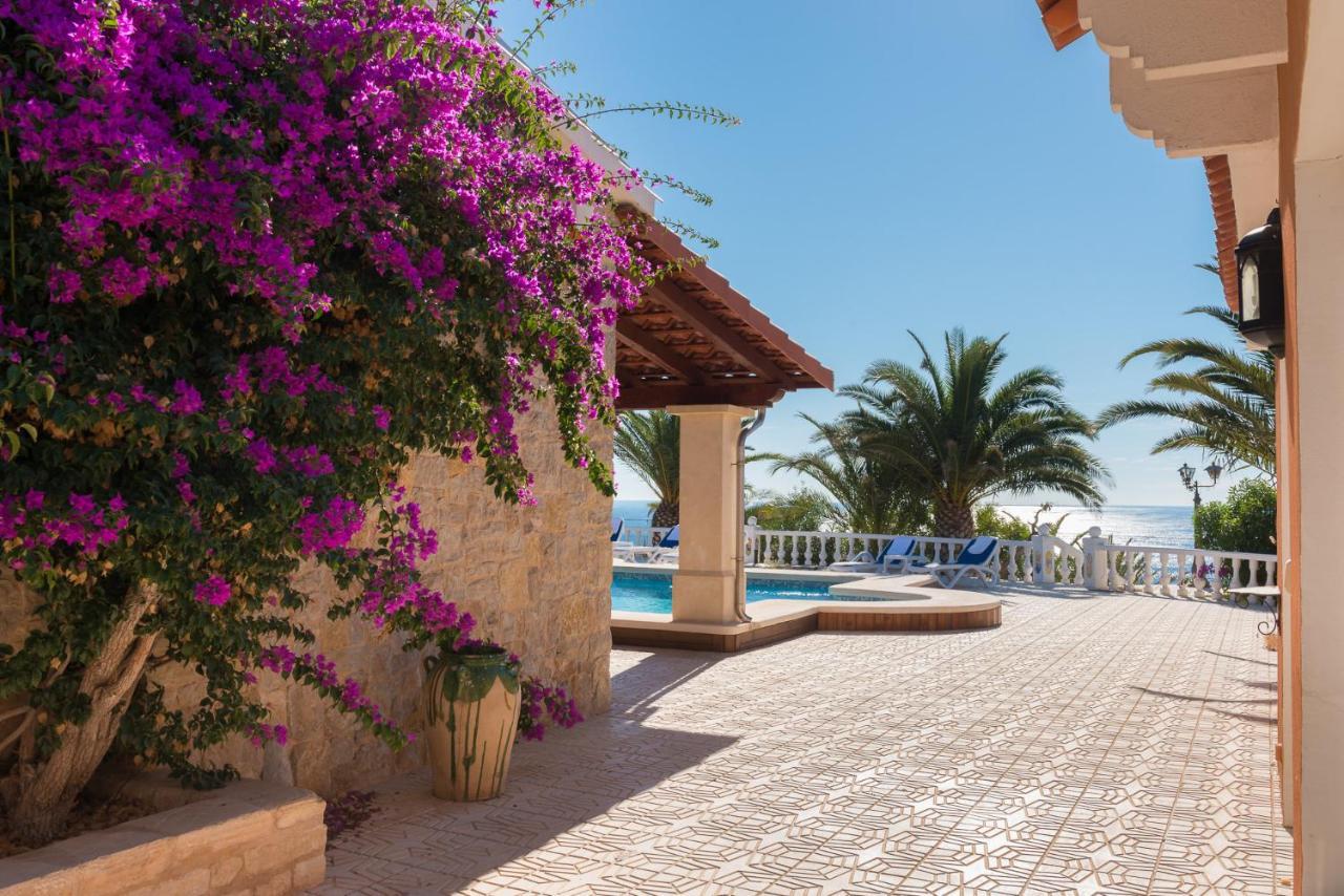 Stunning Villa Carichel Blanc Вильяхойоса Экстерьер фото